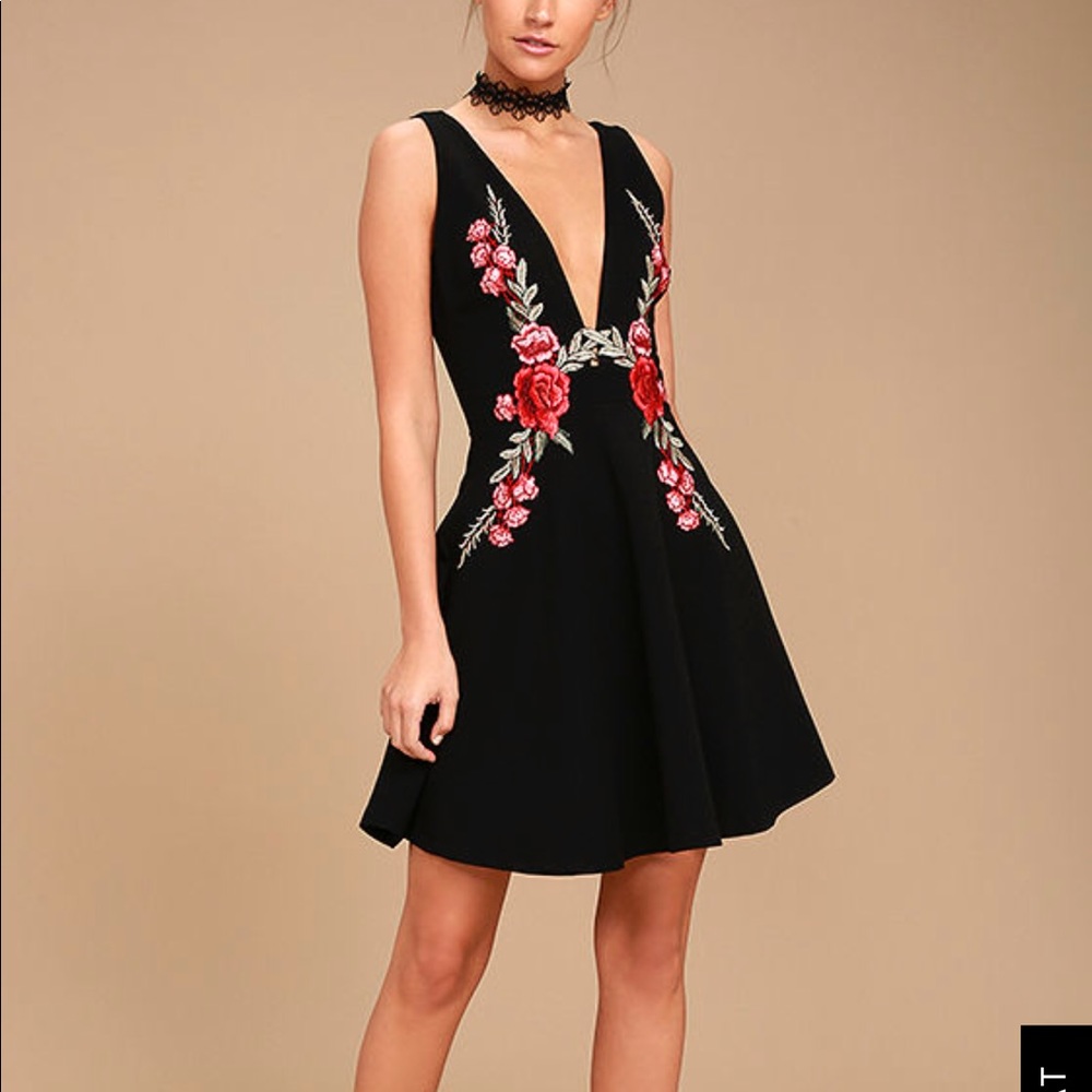 Romantic Rose Black Embroidered Skater Dress